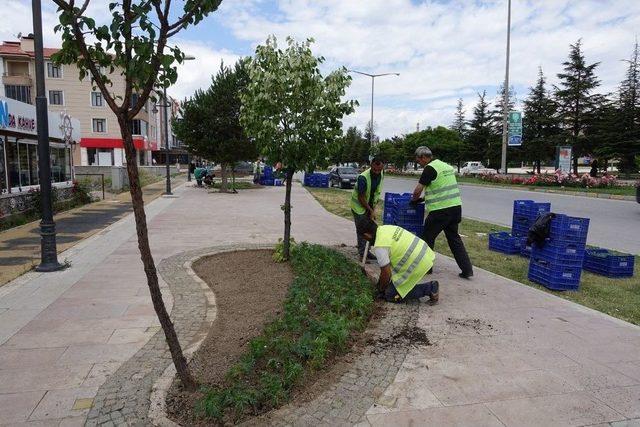 Erzincan Belediyesinin Çalışmaları Tüm Hızıyla Devam Ediyor 1