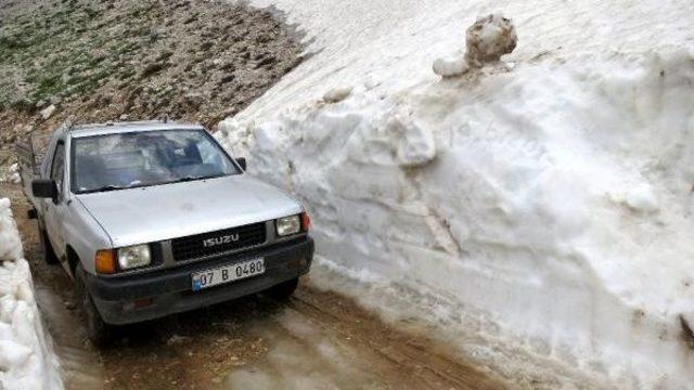 Akseki de Haziran da Karla Mücadele 2