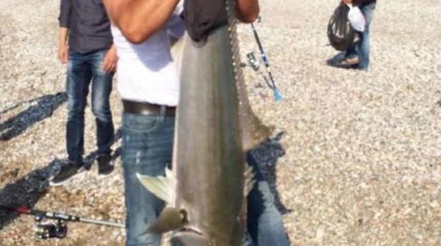 Yakaladıkları 30 Kiloluk Balığı Denize Bıraktılar