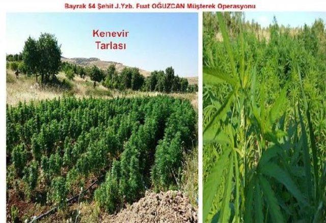 Lice de Uzaktan Komandalı Patlayıcı D&uuml;zeneği Bulundu 2