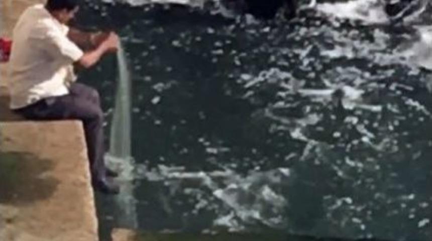 Ka&ccedil;ak Balık Avını Fotoğraflayıp Ceza Kestiler