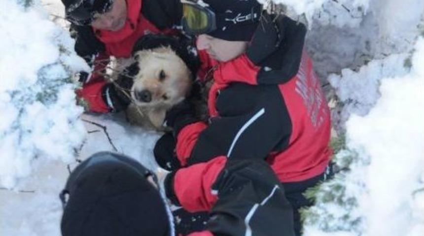 Uludağ'da Jandarmadan K&ouml;pek Kurtarma Operasyonu