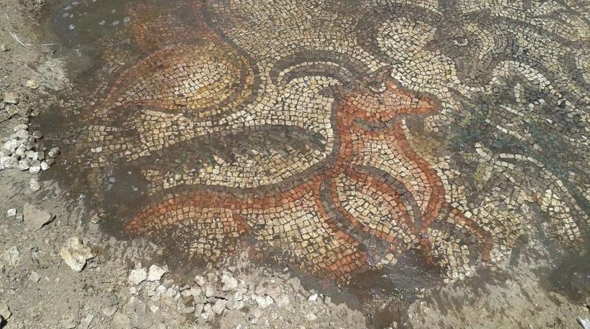 &Ccedil;ift&ccedil;iler Tarlada Tarihi Mozaik Buldu