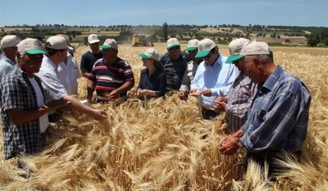 &Ccedil;anakkale&rsquo;de Arpa Tarla G&uuml;n&uuml; Yapıldı