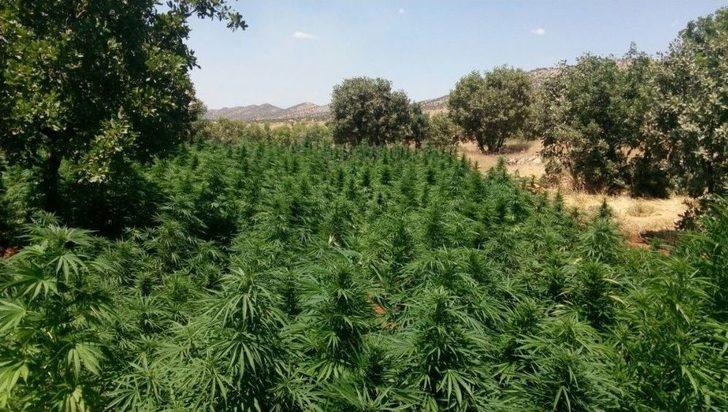 Diyarbakır Kırsalında Büyük Operasyon Sürüyor G5