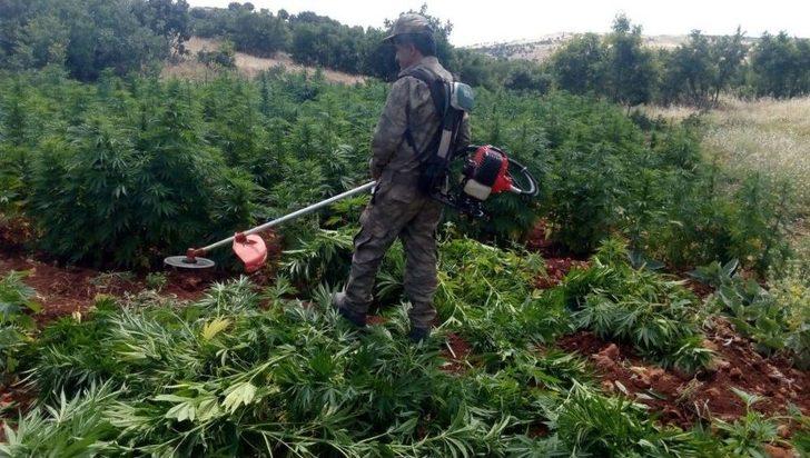 Diyarbakır Kırsalında Büyük Operasyon Sürüyor G2