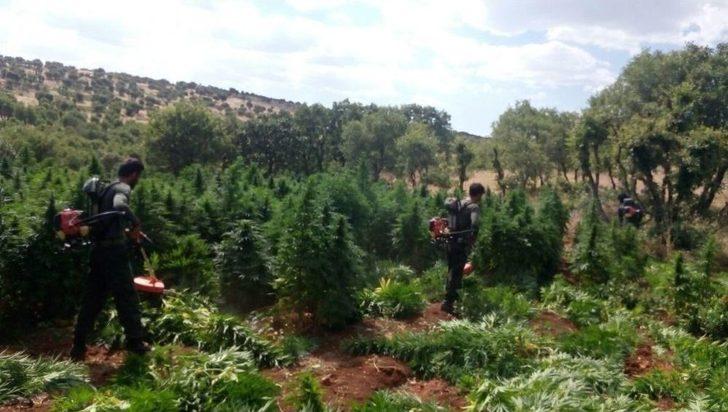 Diyarbakır Kırsalında Büyük Operasyon Sürüyor G4