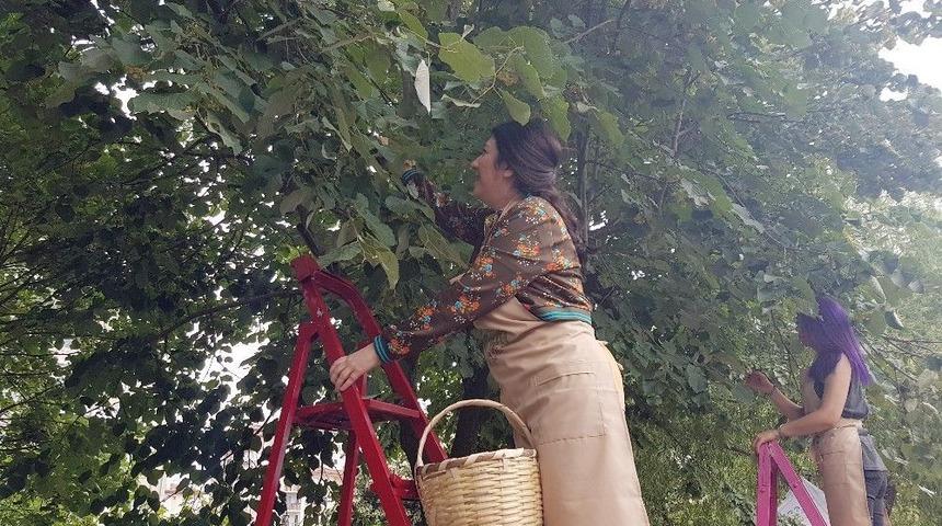 Ataşehir Ihlamur Koktu