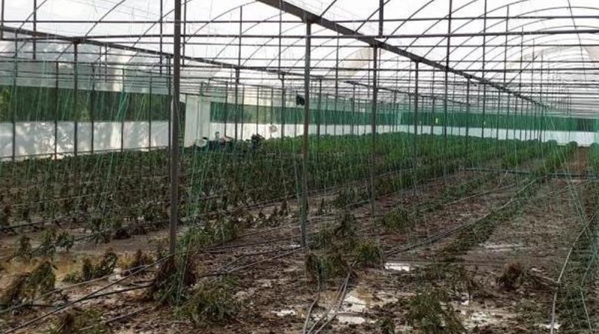 Sel Sularının S&uuml;r&uuml;klediği Trakt&ouml;r&uuml; Ağaca Takılınca Kurtuldu