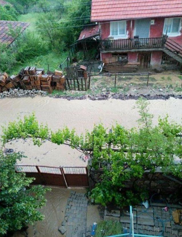 Sel Sularının Sürüklediği Traktörü Ağaca Takılınca Kurtuldu