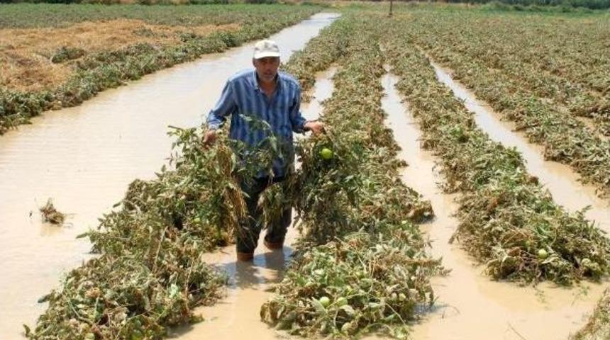 Manavgat'ta Yağmur Sele Neden Oldu
