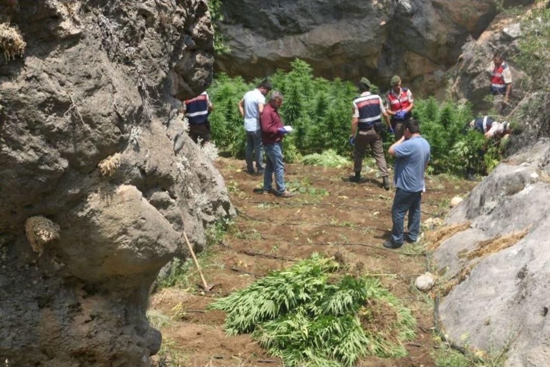 Jandarmadan &ldquo;drone&rdquo; İle Kenevir Operasyonu