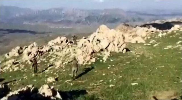 Siirt'te Teslim Olan 2 Pkk'lı: Pişmanız, Fırsatı Bulduk, Teslim Olduk