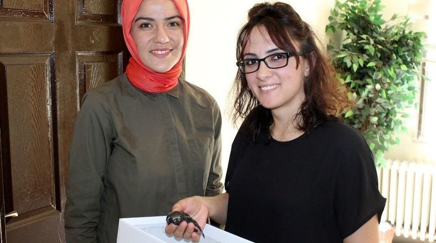 Ebabil Kuşuna &Ouml;ğretmen Sevgisi