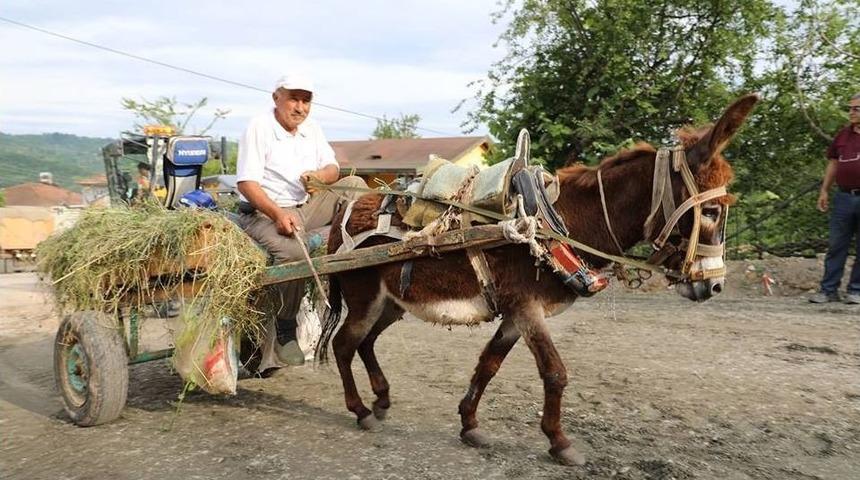 Bu Da Eşek Arabası
