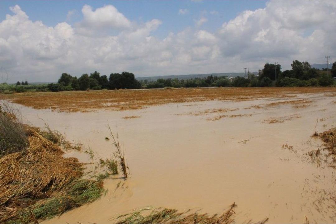 Manavgat&rsquo;ta Etkili Olan Yağmur Y&uuml;zlerce D&ouml;n&uuml;m Ekili Araziye Zarar Verdi