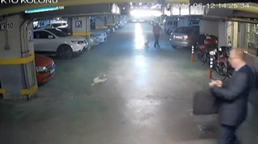 İstanbul&rsquo;un Milyonluk G&uuml;rc&uuml; Gasp&ccedil;ıları Yakalandı