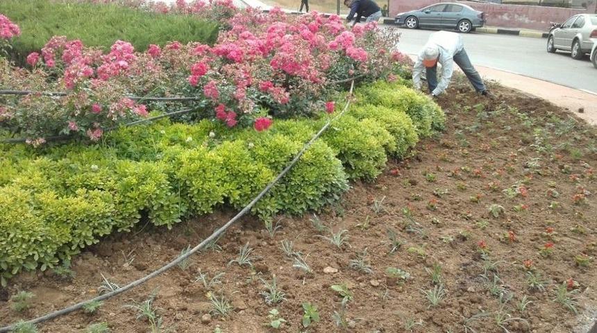 Alaşehir Parkları G&uuml;zelleşiyor