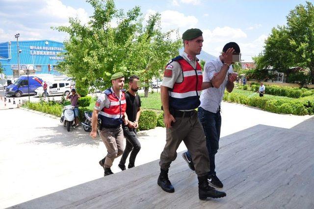 Sahte Dolarla Yakalandılar 2