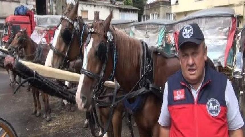 Adalar Faytoncularına Tek Tip Kıyafet