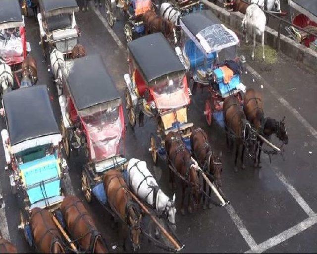 Adalar Faytoncularına Tek Tip Kıyafet 2