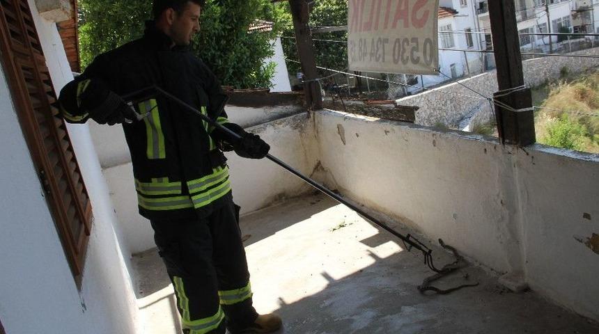 Evin Balkonuna Giren Yılanı İtfaiye &Ccedil;ıkarttı