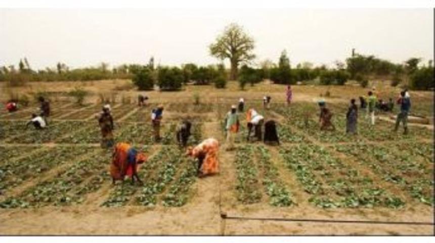 Fao Ve Unv Aralarındaki Işbirliğini Artıracak