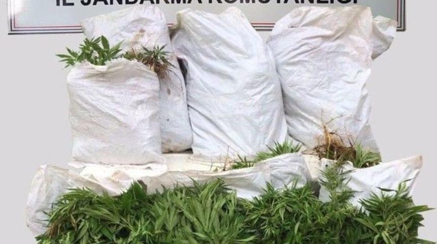 Manavgat&rsquo;ta Hint Keneviri Operasyonu