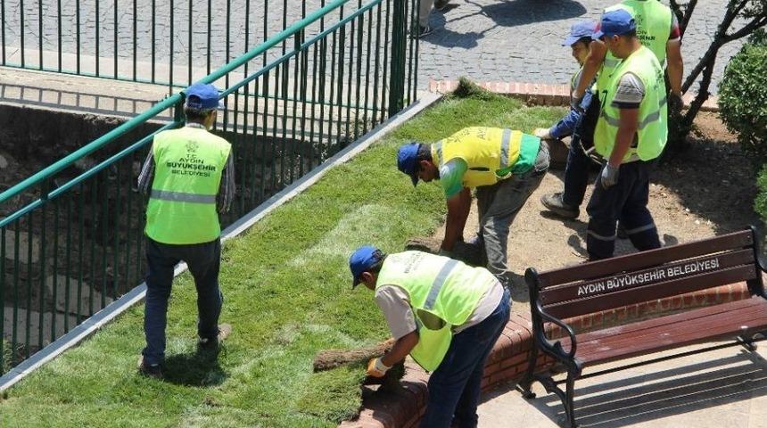 Aydın Büyükşehir Belediyesi Yeşillendirme Çalışmalarına Devam Ediyor