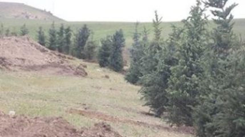 Tutak&rsquo;ta Mesire Alanı &Ccedil;alışması Başladı