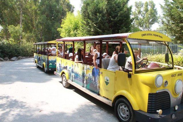 Zeliş&rsquo;e Kuzen Geldi 2