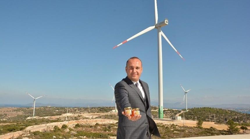 Doğal Yaşam Parkı Hedefiyle Yola &Ccedil;ıktı, Santralde Bal Ve S&uuml;t &Uuml;retti