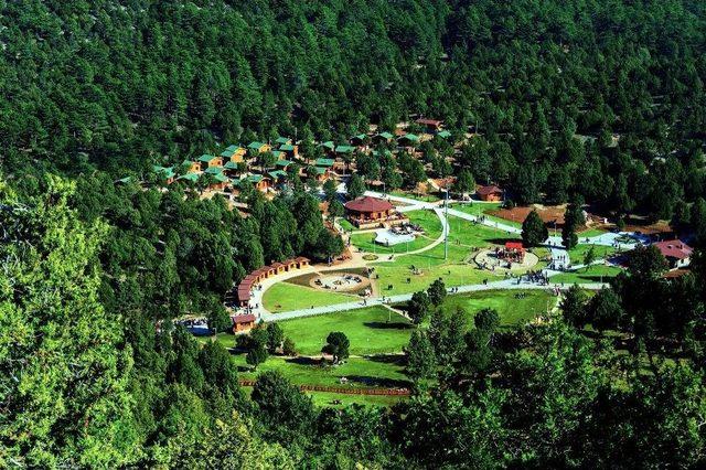 B&uuml;y&uuml;kşehir&rsquo;den 3. Ulusal Fotoğraf Yarışması 1