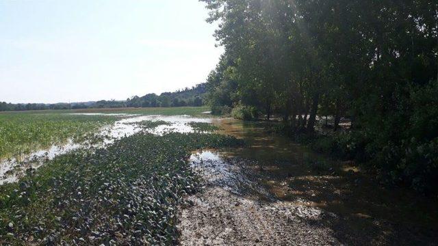 Sakarya’da Tarım Arazileri Sular Altında Kaldı 2