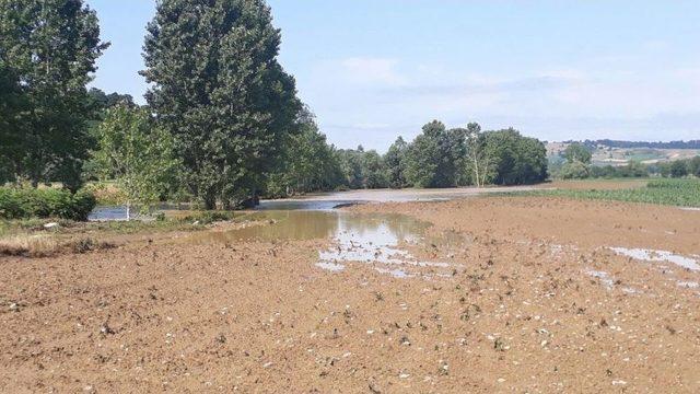 Sakarya’da Tarım Arazileri Sular Altında Kaldı 3