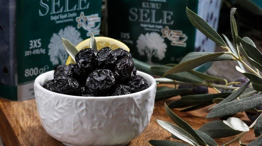 Bursa&rsquo;da Zeytin Ağacı Envanteri &Ccedil;ıkarılıyor