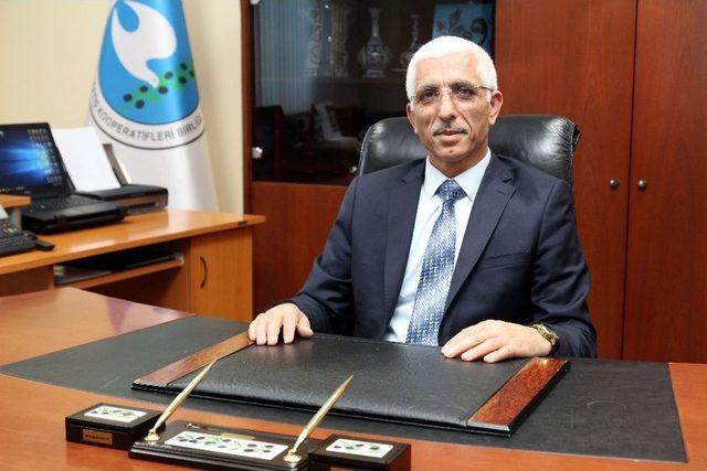 Bursa&rsquo;da Zeytin Ağacı Envanteri &Ccedil;ıkarılıyor 1