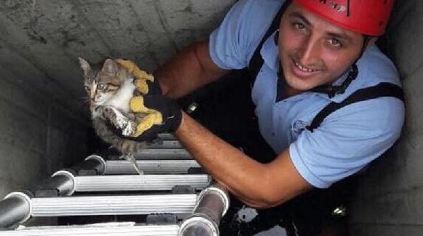 Sokak Kedisinin Imdadına Itfaiye Yetişti