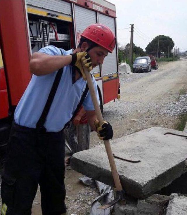 Sokak Kedisinin Imdadına Itfaiye Yetişti