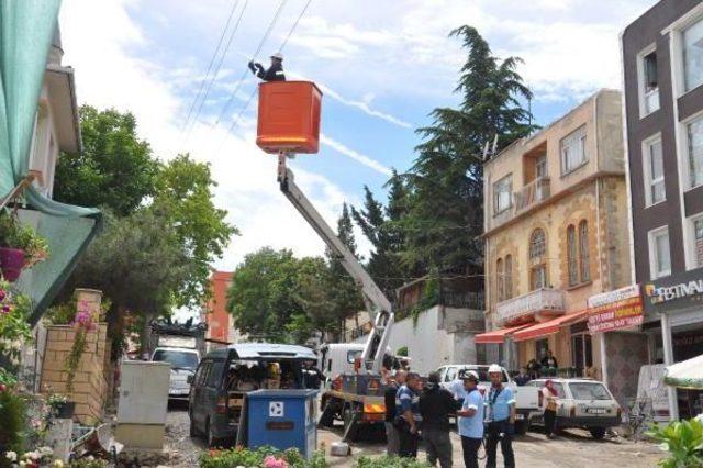 Asılan Flama Trafoya Kısa Devre Yaptırdı