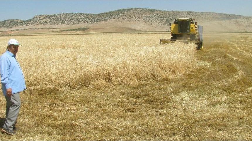 Araban İl&ccedil;esinde, 2017 Yılı Bi&ccedil;erd&ouml;ver Fiyatları Belirlendi