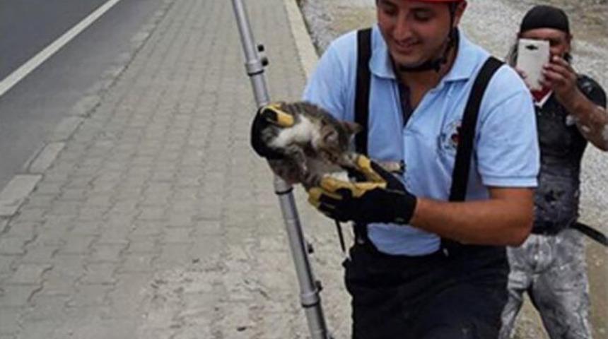 Kuyuya D&uuml;şen Kedinin İmdadına İtfaiye Yetişti