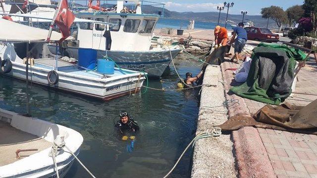 Güllük Plajında Denizden Çıkanlar Şaşırttı