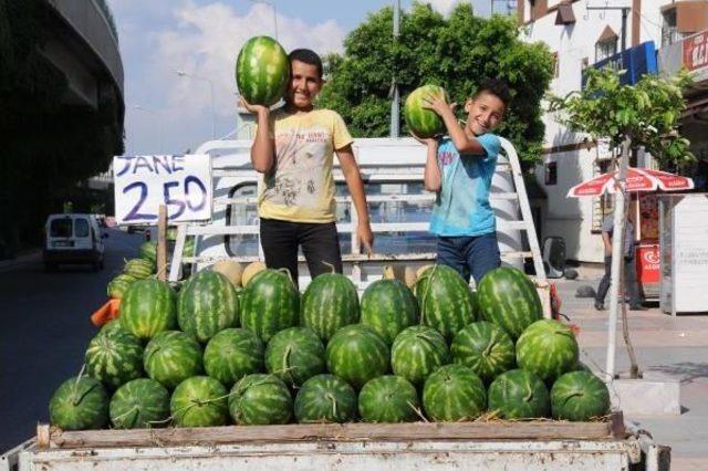 Karpuzda Hasat Arttı, Fiyat Düştü