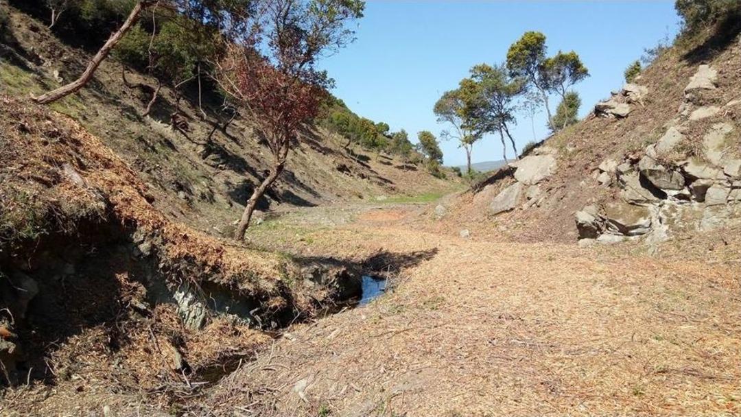 &Ccedil;alışmalar Sırasında Ger&ccedil;ek Şehit Mezarları G&uuml;n Y&uuml;z&uuml;ne &Ccedil;ıktı