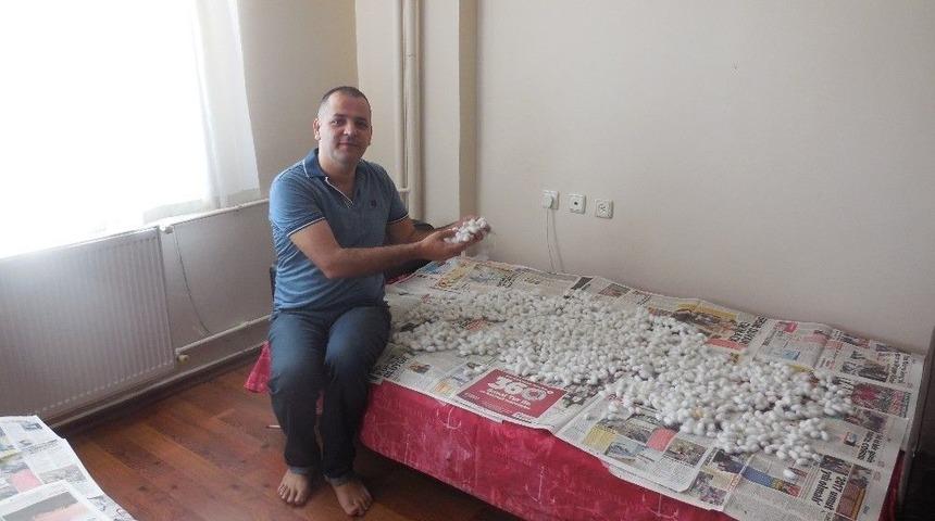 İpek B&ouml;ceği Yetiştiricisinin İlk Hasat Heyecanı