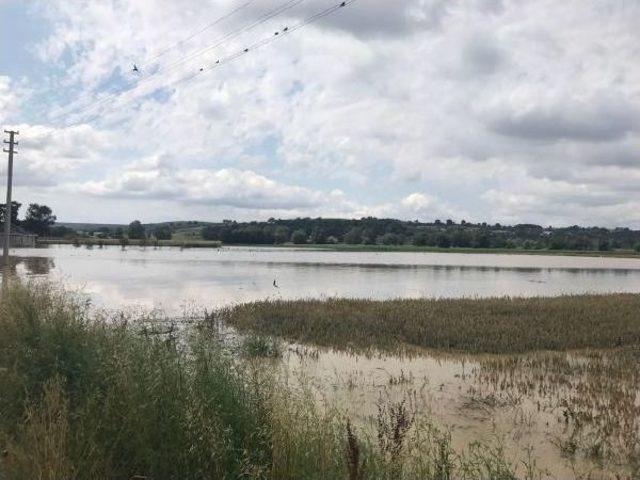 Kaynarca da Tarım Arazileri Sular Altında Kaldı 1