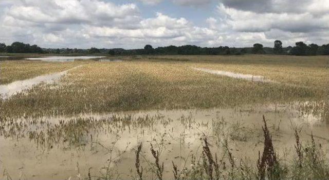 Kaynarca da Tarım Arazileri Sular Altında Kaldı 2