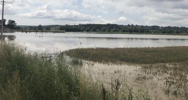 Kaynarca da Tarım Arazileri Sular Altında Kaldı 3