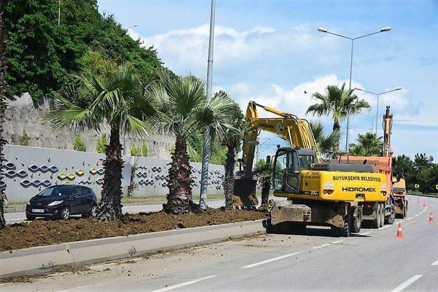 B&uuml;y&uuml;kşehirden Olimpiyatlar İ&ccedil;in Son R&ouml;tuşlar 1